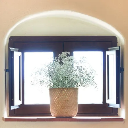 Tatil Evi Casa Degli Ulivi *